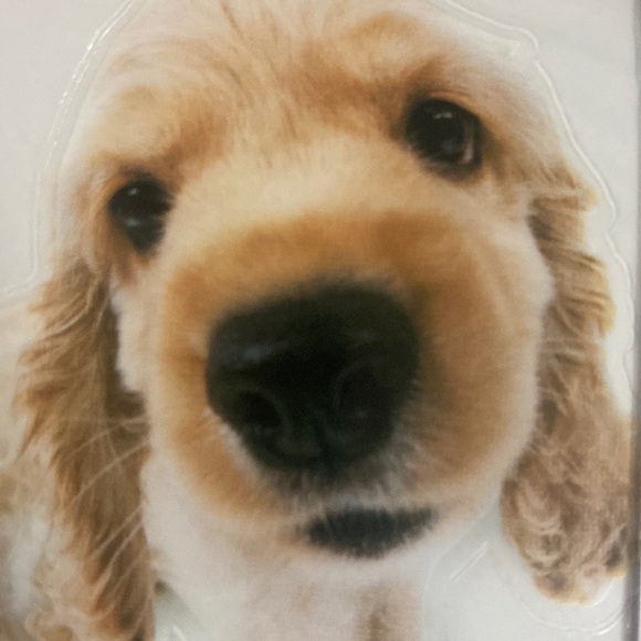 925💙Studs⭐️+Purse+2 spaniel decals+Hoodie NYC szM - Picture 9 of 17